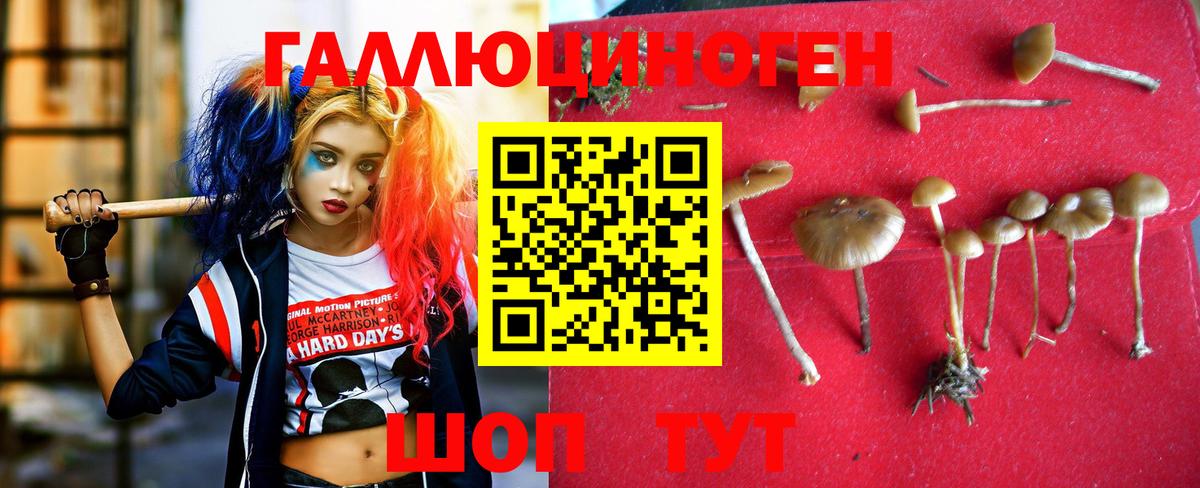 Уссурийск  Галлюциногенные грибы мухоморы  Вход с VPN  хочу   Галлюциногенные грибы мицелий 