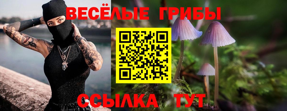 Псилоцибиновые грибы MAGIC MUSHROOMS Уссурийск